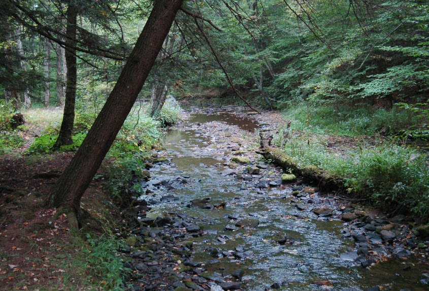 Prouty Place State Park, Pennsylvania, USA